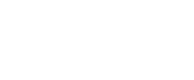 Salesys